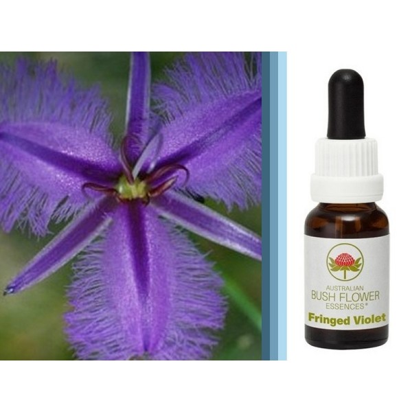 Elixir du Bush Australien Fringet Violet pour les chocs