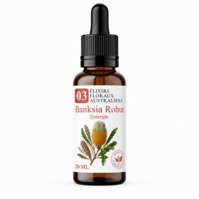 Flacon de Banksia Robur Synergie - Élixirs de Fleurs