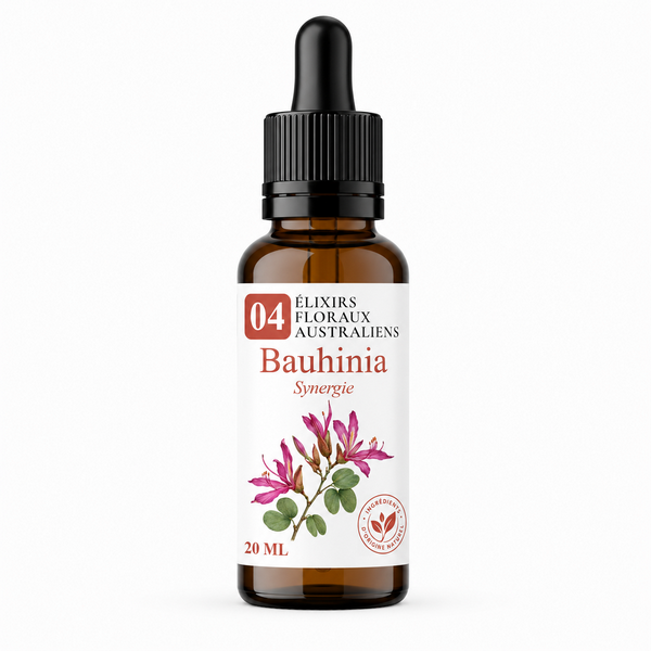 Flacon de Bauhinia Synergie - Élixirs de Fleurs