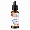 Flacon de Bluebell Synergie - Élixirs de Fleurs