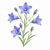 Fleur de Bluebell Synergie - Élixirs de Fleurs