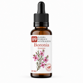 Flacon de Boronia Synergie - Élixirs de Fleurs