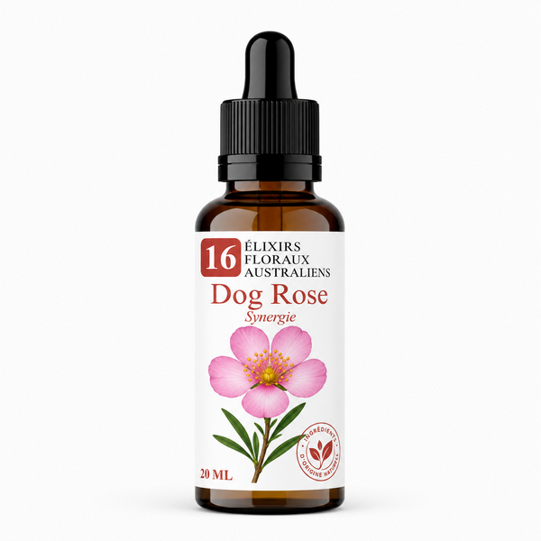 Flacon de Dog Rose Synergie - Élixirs de Fleurs