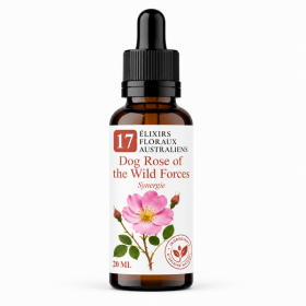 Flacon de Dog Rose of the Wild Forces Synergie - Élixirs de Fleurs