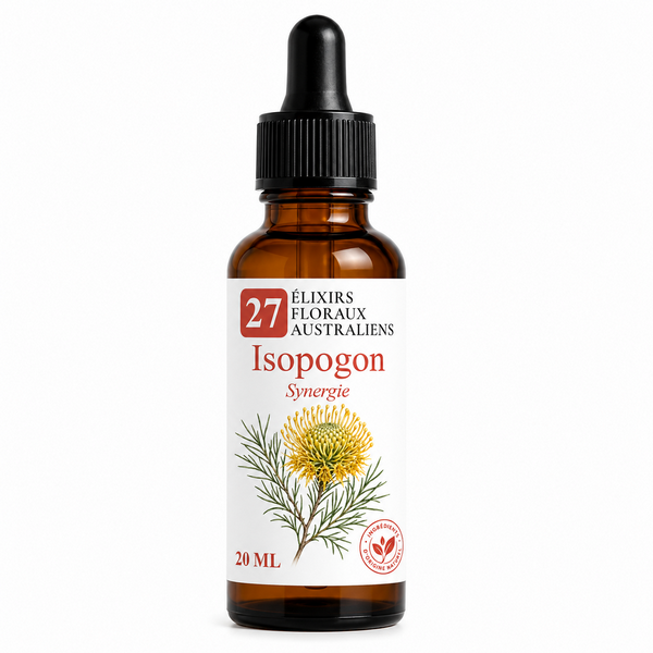 Flacon de Isopogon Synergie - Élixirs de Fleurs