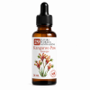 Flacon de Kangaroo Paw Synergie - Élixirs de Fleurs