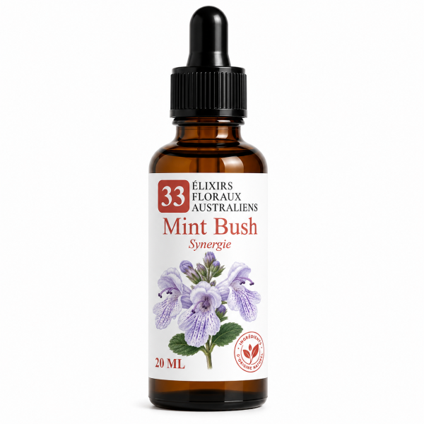 Flacon de Mint Bush Synergie - Élixirs de Fleurs