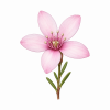 Fleur de Philotheca Synergie - Élixirs de Fleurs