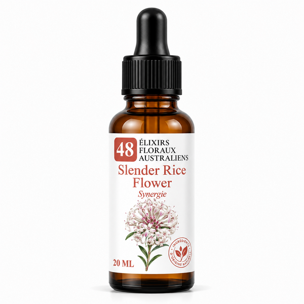 Flacon de Slender Rice Flower Synergie - Élixirs de Fleurs