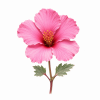 Fleur de Sturt Desert Rose Synergie - Élixirs de Fleurs