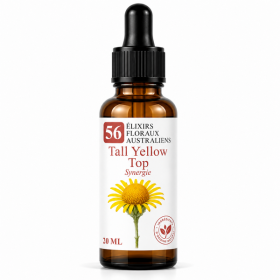 Flacon de Tall Yellow Top Synergie - Élixirs de Fleurs