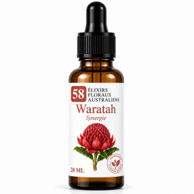 Flacon de Waratah Synergie - Élixirs de Fleurs