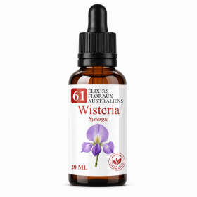 Flacon de Wisteria Synergie - Élixirs de Fleurs