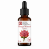 Flacon de Monga Waratah Synergie - Élixirs de Fleurs