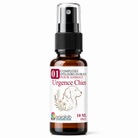 Flacon de l'élixir floral Urgence Chien spray - Élixirs de Fleurs