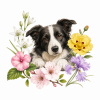 Fleurs de l'élixir floral Urgence Chien spray - Élixirs de Fleurs