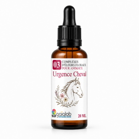 Flacon de l'élixir floral Urgence Cheval goutte - Élixirs de Fleurs