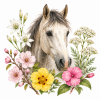 Fleurs de l'élixir floral Urgence Cheval goutte - Élixirs de Fleurs