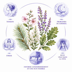 Présentation de l'élixir floral "Sommeil Réparateur" - Élixirs de Fleurs